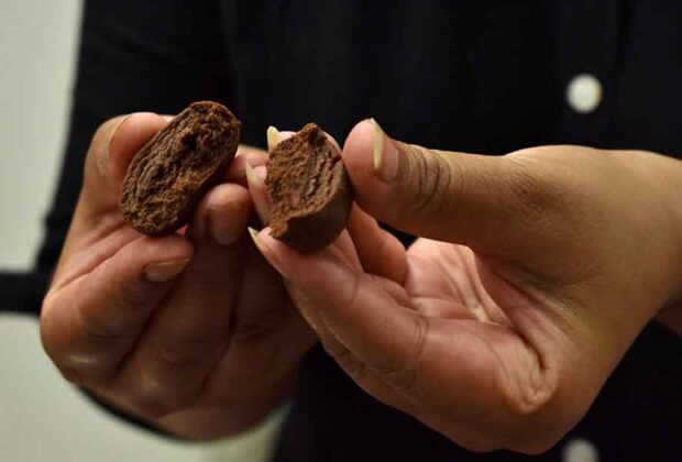 coffee beans